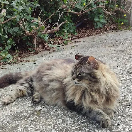 Cerami Con Parcheggio A Un Passo Dal Mare