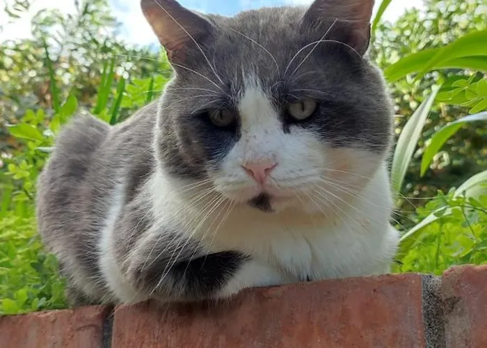 Apartment Cerami Con Parcheggio A Un Passo Dal Mare Cefalu