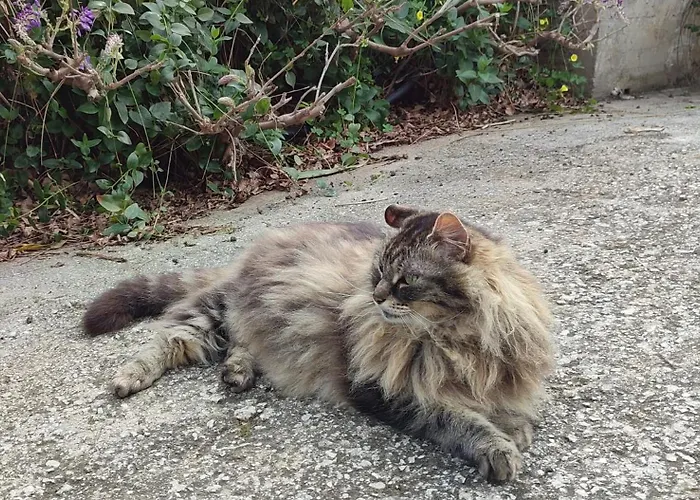 Cerami Con Parcheggio A Un Passo Dal Mare