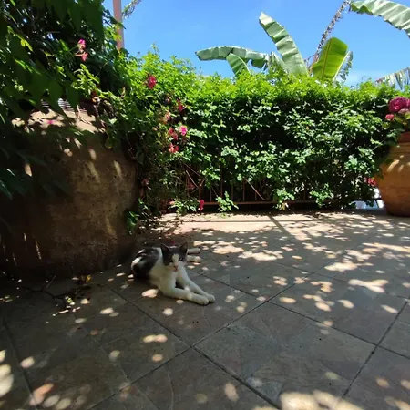 Cerami Con Parcheggio A Un Passo Dal Mare