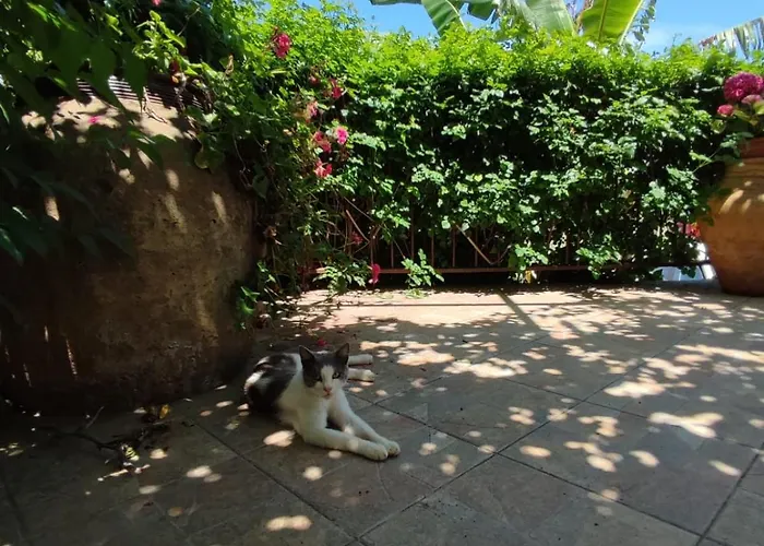 Cerami Con Parcheggio A Un Passo Dal Mare